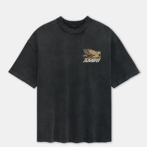 AMIRI T-Shirts