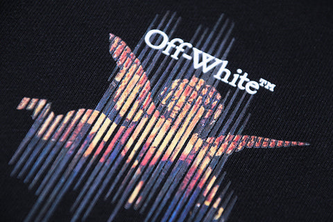 Off White Hoodie